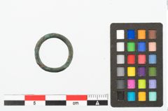 Foto von Bronzering (NHMW-PRAE-048348)
